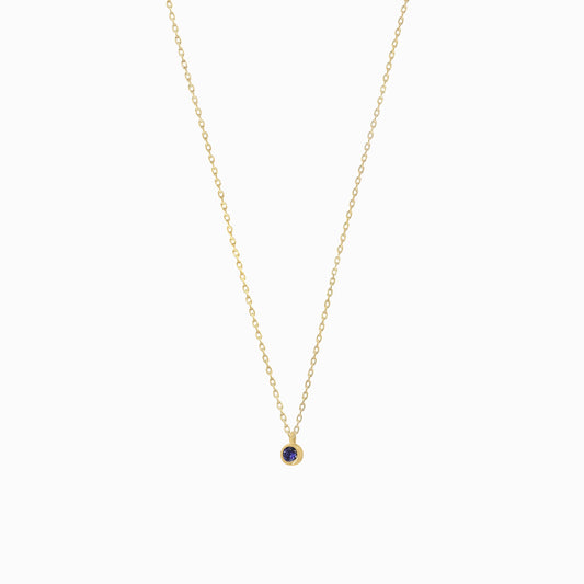 Birthstone Blue Sapphire Pendant Necklace 14k Gold | September