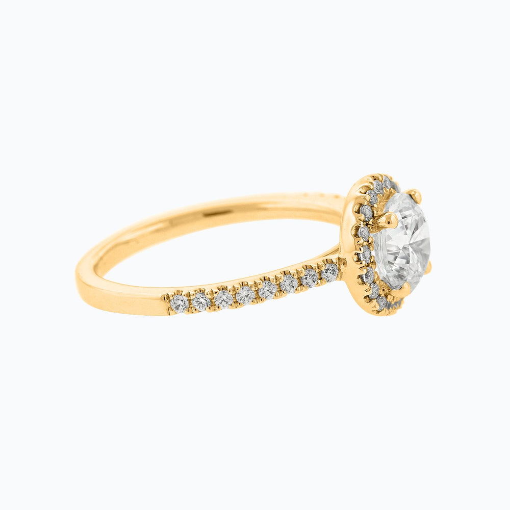 
          
          Load image into Gallery viewer, Isam Moissanite Round Halo Pave Diamonds Yellow Gold Ring
          
          