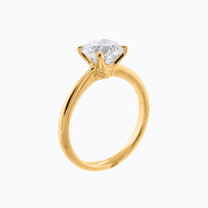 
          
          Load image into Gallery viewer, Anne Round Solitaire Ring 14K Yellow Gold
          
          